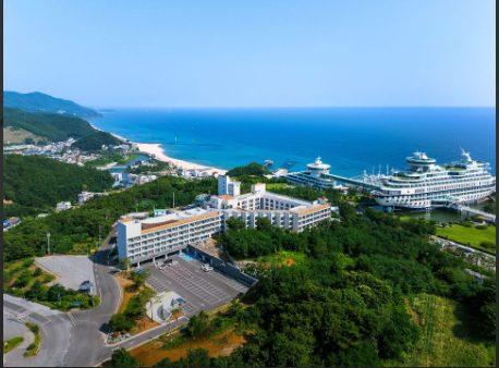 정동진 위더스호텔 4성급 숙소 예약｜해수욕장 오션뷰·일출 호텔 추천